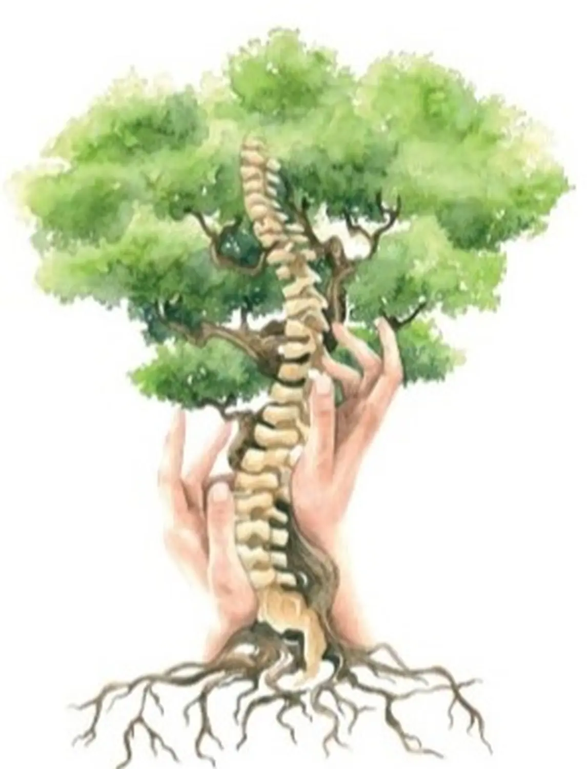 Physio & Soul – Physiotherapie-Coaching – Baum